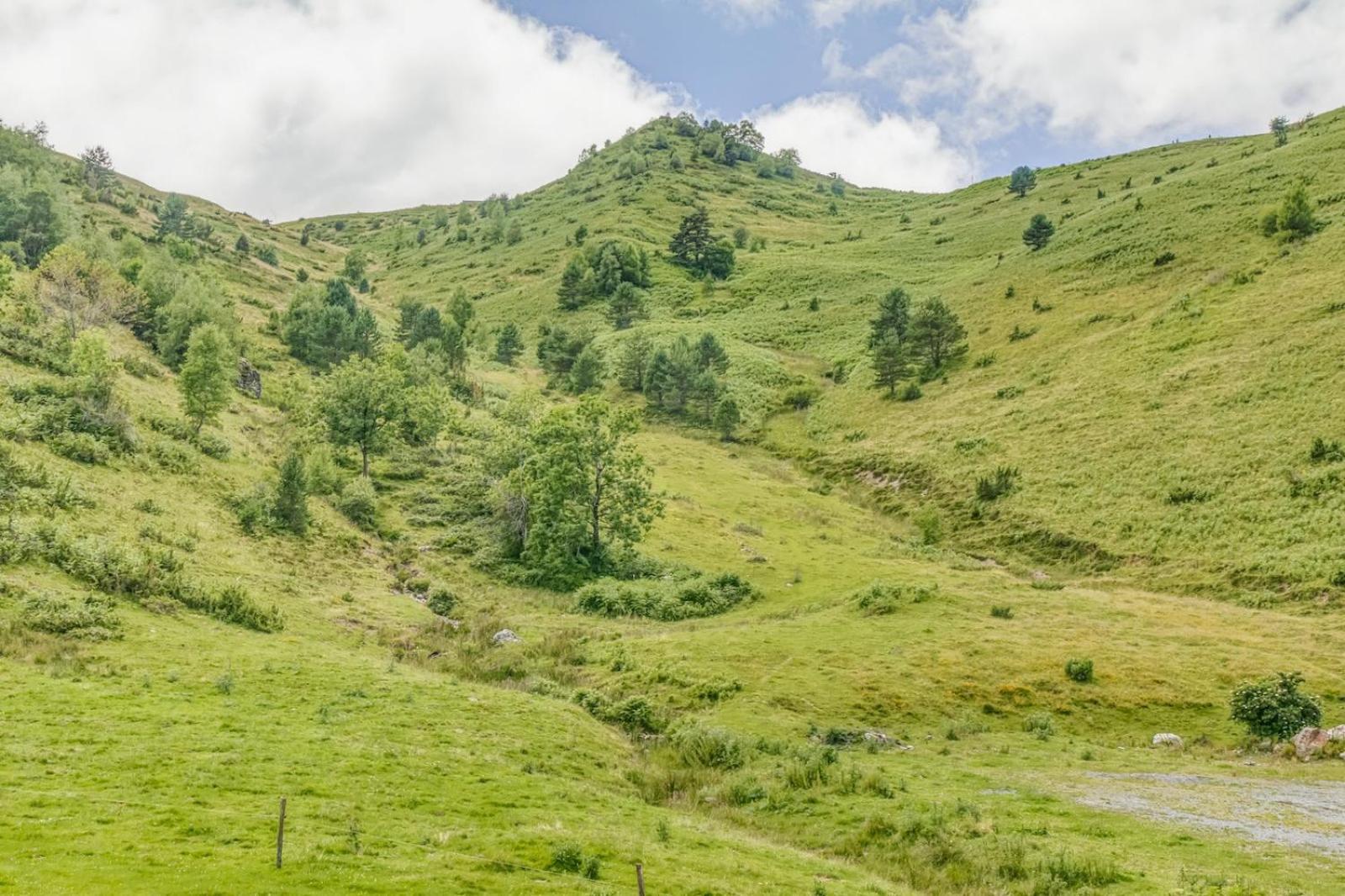 Appartement Alpin A 200M Des Pistes Génos 外观 照片